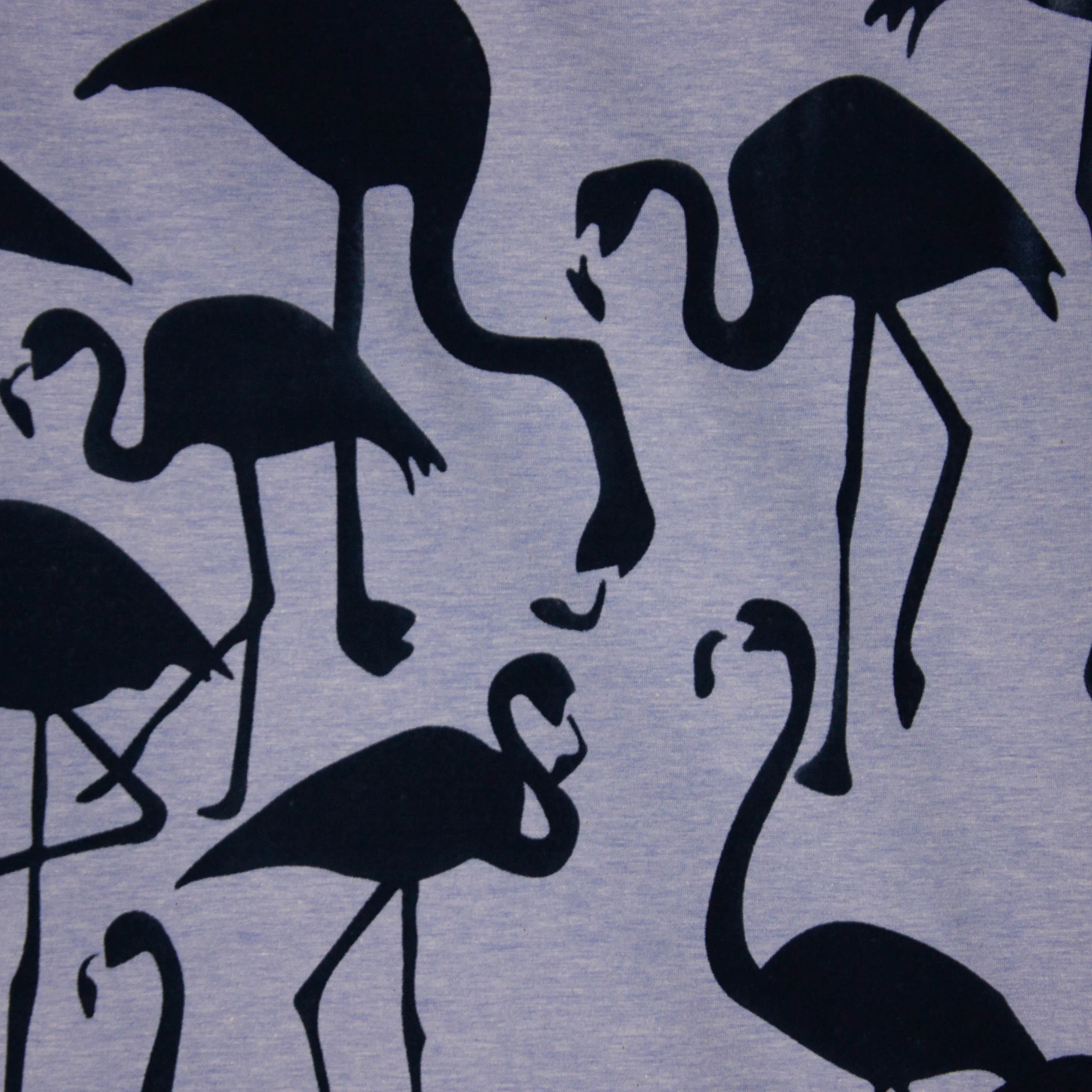 French terry met flock bedrukte flamingo's